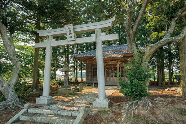 神田地区と白髭神社